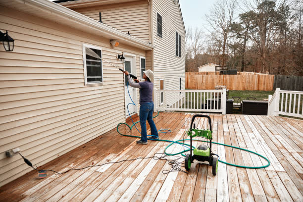 Best Pressure Washing Company Near Me  in Momence, IL