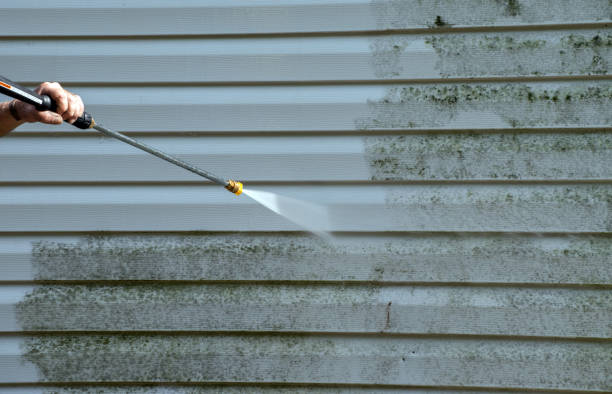 Best Roof Pressure Washing  in Momence, IL