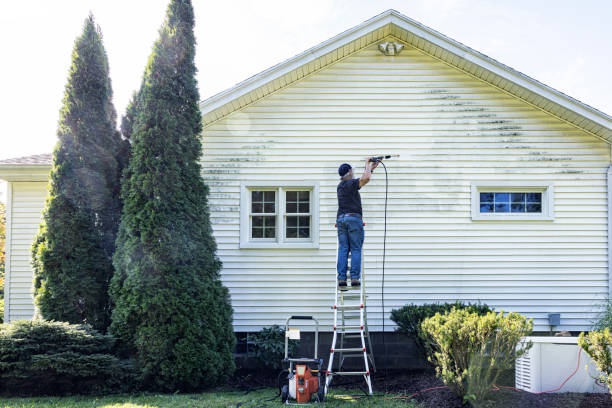 Best Commercial Building Pressure Washing  in Momence, IL