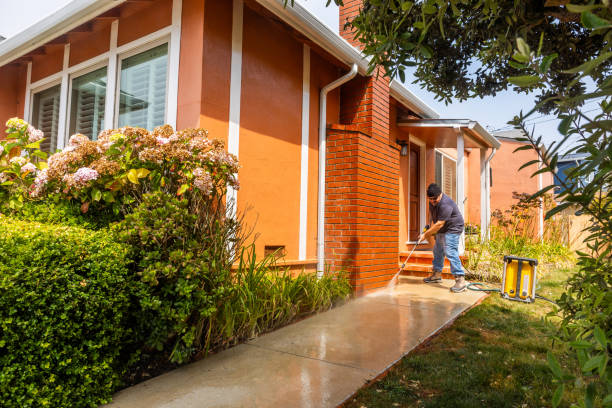 Best Best Pressure Washing Companies  in Momence, IL