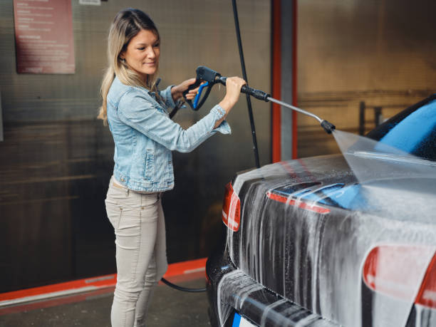  Momence, IL Pressure Washing Pros