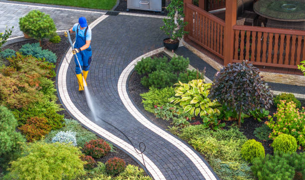 Best Garage Pressure Washing  in Momence, IL